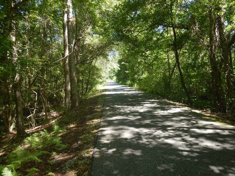 Florida Bike Trails, Palatka-Lake Butler State Trail