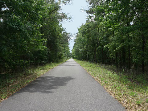 Florida Bike Trails, Palatka - St. Augustine State Trail