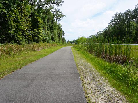 Florida Bike Trails, Coastal Trail