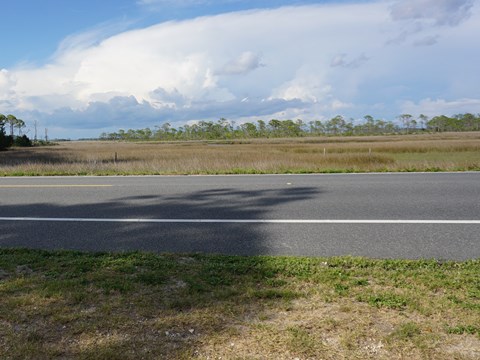 Florida Bike Trails, Coastal Trail