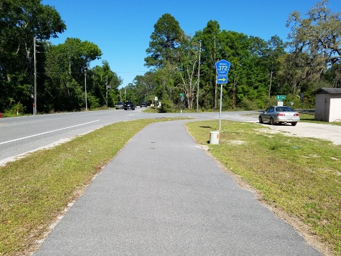 Florida Bike Trails, Ochlockonee Bay Trail, Surf Road