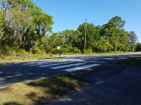 Florida Bike Trails, Ochlockonee Bay Trail, Surf Road