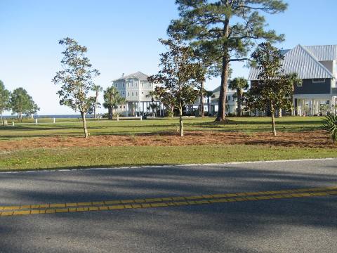 Florida Bike Trails, Ochlockonee Bay Trail, Mash Island