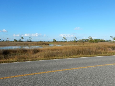 Florida Bike Trails, Ochlockonee Bay Trail, Mash Island