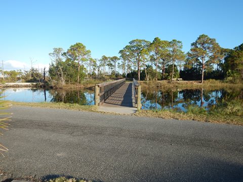 Florida Bike Trails, Ochlockonee Bay Trail, Mash Island