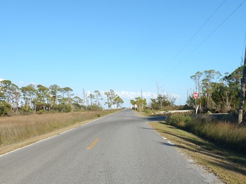 Florida Bike Trails, Ochlockonee Bay Trail, Mash Island