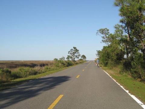 Florida Bike Trails, Ochlockonee Bay Trail, Mash Island