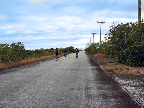 Aerojet Road Trail