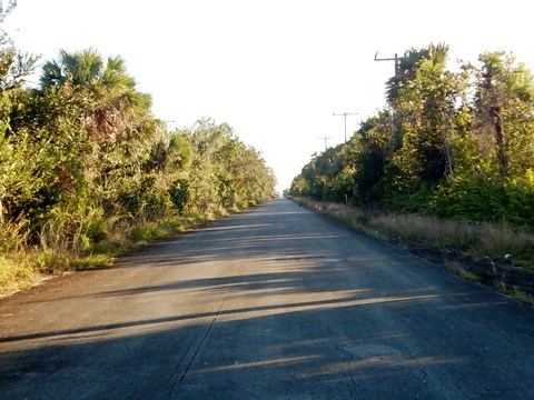 Shark Valley Trail, The Everglades