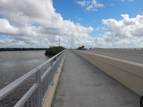 Shark Valley Trail, The Everglades