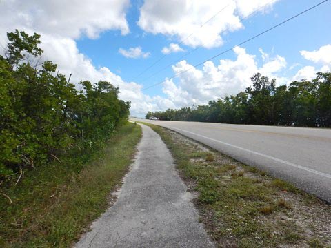 Chocoloskee Path, Everglades City, CR29