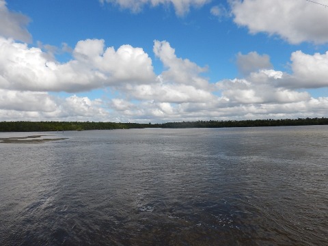 Chocoloskee Path, Everglades City, CR29