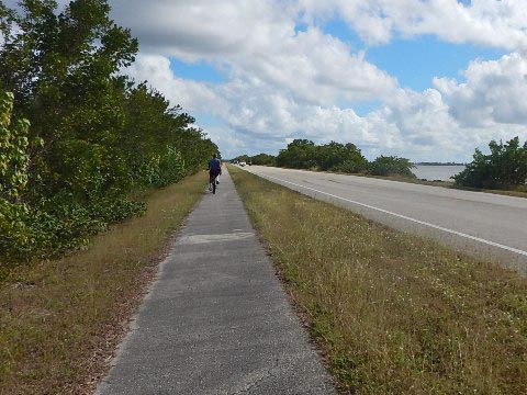 Chocoloskee Path, Everglades City, CR29