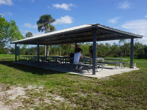 Chocoloskee Path, Everglades City, CR29