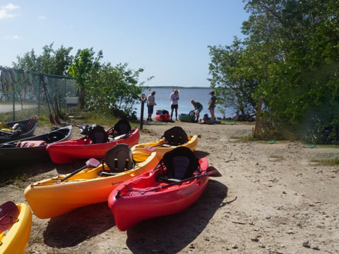 Chocoloskee Path, Everglades City, CR29