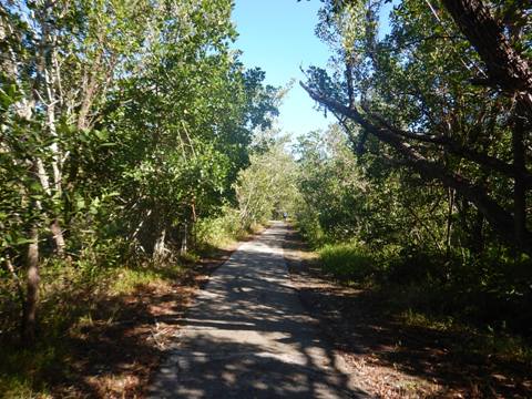 Everglades, Flamingo, Guy Bradley Trail