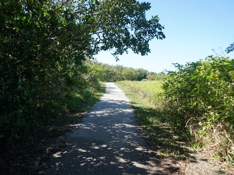 Guy Bradley Trail, Flamingo, Everglades National Park