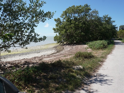 Guy Bradley Trail, Flamingo, Everglades National Park