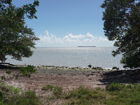 Guy Bradley Trail, Flamingo, Everglades National Park