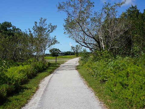 Guy Bradley Trail, Flamingo, Everglades National Park