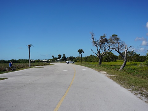 Guy Bradley Trail, Flamingo, Everglades National Park