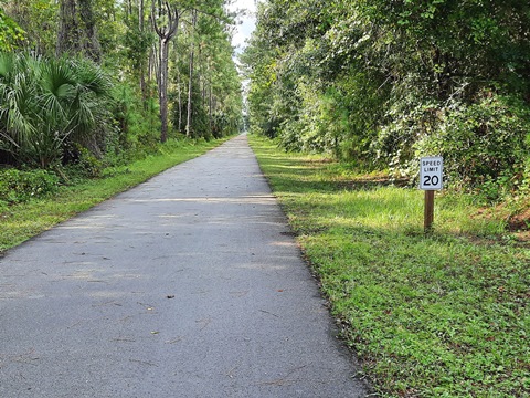 Van Fleet State Trail, Green Pond to Bay Lake
