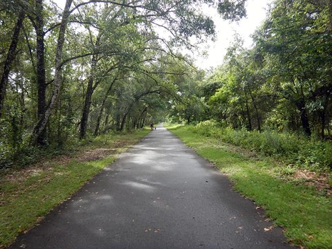 Withlacoochee State Trail Nobleton to Istachatta