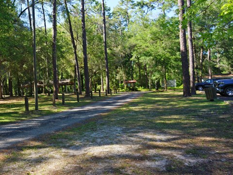 Withlacoochee State Trail Nobleton to Istachatta